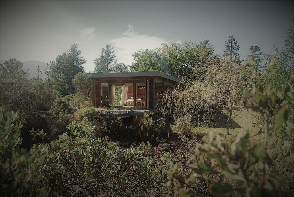 Forest Nature Spa The Crags Bagian luar foto